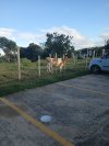 IMG_20231130_163334373.jpg