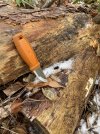 IMG_6700.jpeg