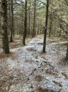 IMG_6697.jpeg