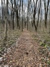 IMG_6698.jpeg