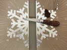 IMG_20231201_200238.jpg