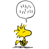 IMG_5061.png
