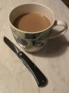 IMG_2666.jpeg