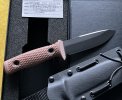 IMG_1375.jpeg