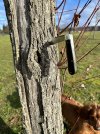 IMG_8031.jpeg