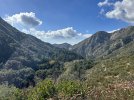 IMG_6948.jpeg