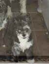 IMG_6981.jpeg