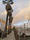 IMG_0370.jpeg