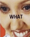 The-What-Meme-4166202876.png
