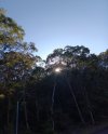 20231205_073534.jpg