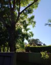 20231205_080842.jpg