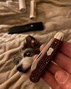 IMG_2700.jpeg