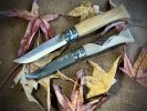 Opinel x 2.jpg