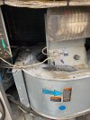 IMG_9238.jpeg