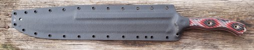 Busse F16 - 1.jpg