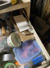 IMG_4146.jpeg