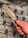 IMG_4369.jpeg