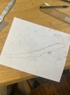 IMG_0446.jpeg