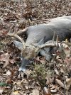 IMG_5880.jpeg
