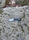 IMG_6723.jpeg
