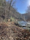 IMG_6722.jpeg