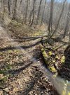 IMG_6721.jpeg