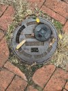 IMG_0700-compressed.jpeg