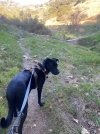 IMG_0507.jpeg