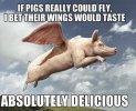 flying pig.jpg