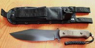 Sandbox Bowie.jpg