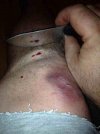 ImageUploadedByTapatalk1384746313.121443.jpg