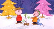 Charlie Brown Christmas.jpg Charlie Brown Christmas.jpg