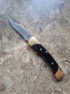 buck5501.jpg