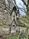 IMG_8110.jpeg