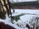 1702243615970.jpeg