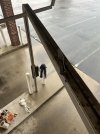 IMG_9101.jpeg