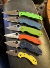 IMG_3168.jpeg