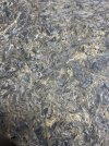 IMG_4266.jpeg