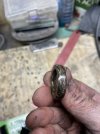 IMG_4269.jpeg