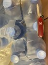 IMG_2503.jpeg