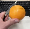 orange.jpg