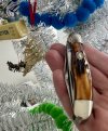 IMG_7494.jpeg