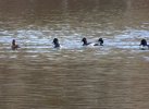 2023-12-12 Lake Atalanta (17).JPG