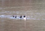 2023-12-12 Lake Atalanta (22).JPG