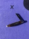 IMG_0701.jpeg