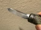 IMG_1891.jpeg IMG_1891.jpeg