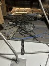 IMG_8919.jpeg