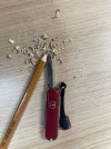 IMG_2513.jpeg