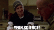 1000013425.gif