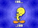 tweety.jpg